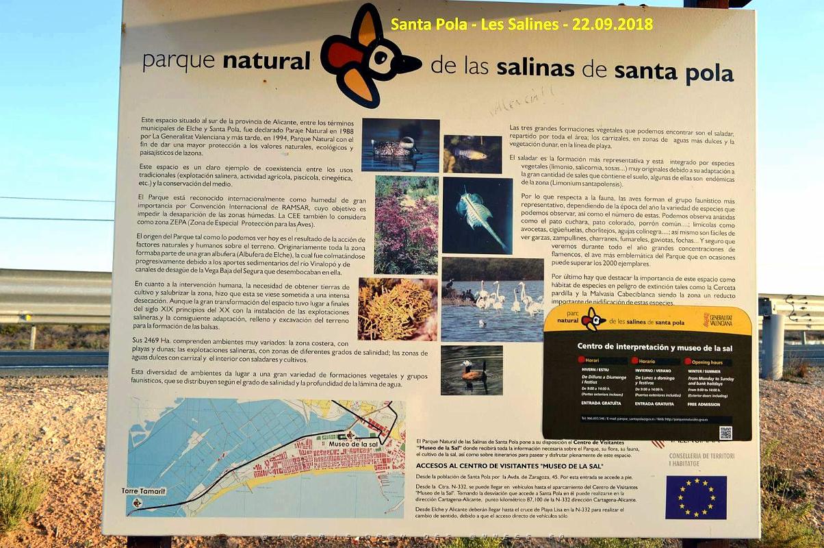 33 SANTA POLA LES SALINES (35).JPG
